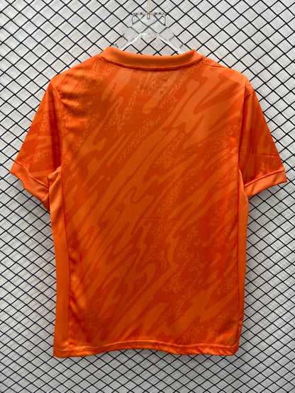 Maillot de gardien de but de l'Angleterre 24/25 orange