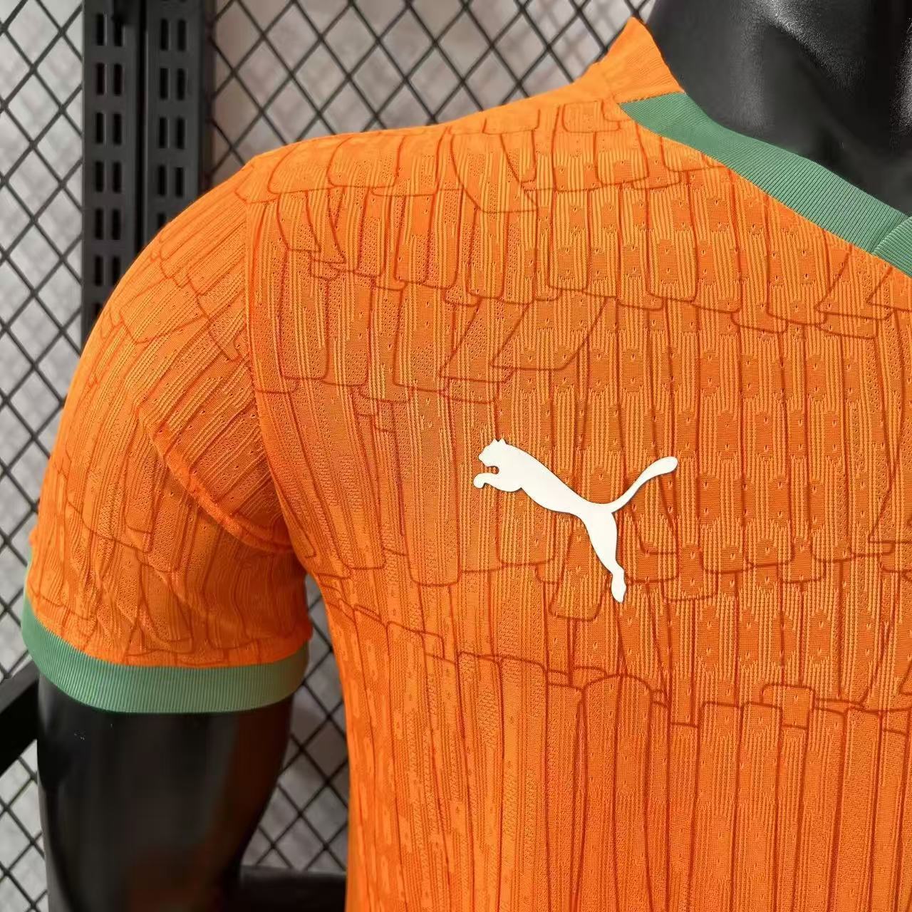 25/26 Ivory Coast home jersey