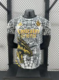 24/25 Real Madrid Special  jersey